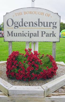 Where in Ogdensburg?