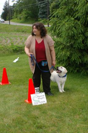 Linda Kelly of Vernon puts her Yellow Lab puppy Chancellor through the course at the annual DOGS of Vernon Family Fun Dog Show.