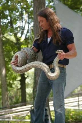 This Tarzan doesn't swing from trees While attempting to pick up and carry this African rock python, the snake repeated tried to bite Urban Tarzan.