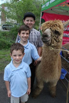 Lafayette celebrates its historic district with fair Pictured from top: Joseph, Matthew and Christopher McDonald of Franklin.