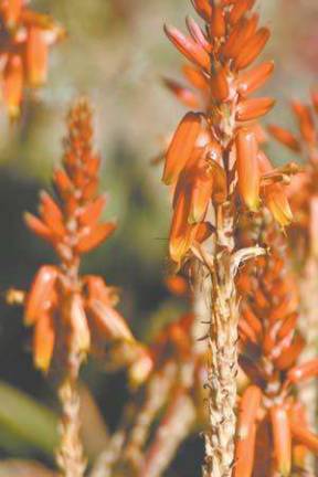 Spring is here, and it's time for yard work Spring is here, and it's time for yard work