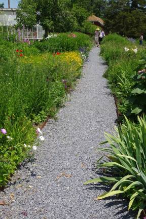 There are many trails and paths to explore, along with benches for those who would like to sit and relax and enjoy the grounds.