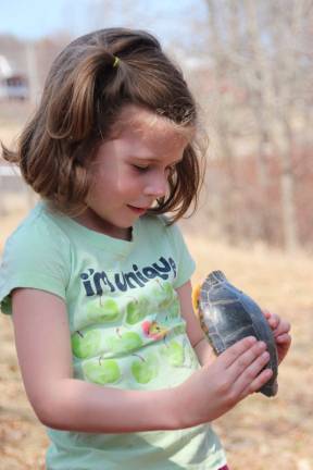 Area children get look at vernal ponds Nuala Ventimiglia of Wantage found a paint turtle sun bathing that hid in his shell.