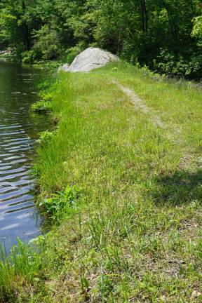 Ogdensburg residents will determine if the earthen dam at heater's Pond will be removed or armored.