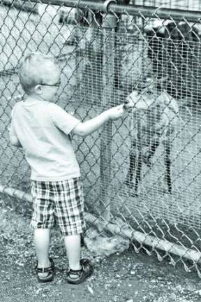 Space Farms holds Teddy Bear Day Aiden Shulz of Wantage feeding crackers to the goats.