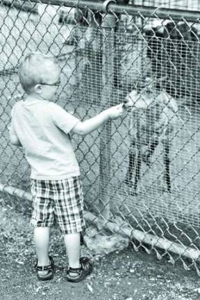 Aiden Shulz of Wantage feeding crackers to the goats.