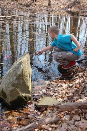 Harrison Hayenhjelm of Lafayette checks on frog eggs in the pond.
