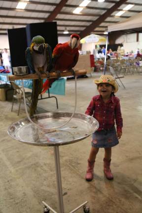 Ava Grace of Sussex has a conversation with these two eager birds.