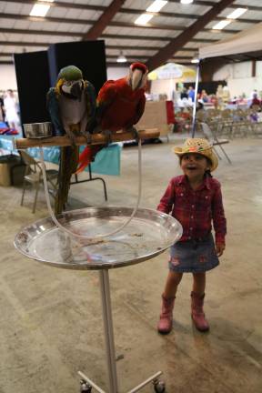 Furry, feathered and slimy friends Ava Grace of Sussex has a conversation with these two eager birds.