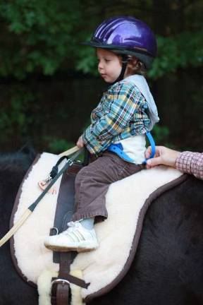 New business offers therapy through horses Charlie shows great form.