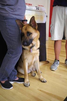 K9 Soldiers visits Hamburg School Assistance dog Kiera.
