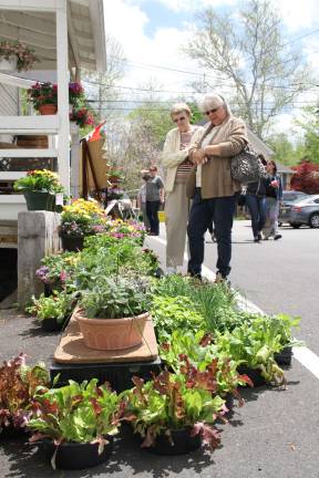 Lafayette celebrates its historic district with fair Lynn Mabee of Lafayette and Betty VanOrden of Sparta.