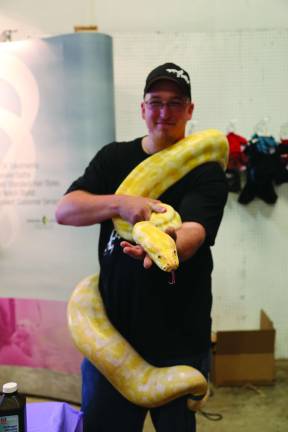 Furry, feathered and slimy friends Steve Gribble of Natures Cove in Newton holding an Albino Burmese Python.