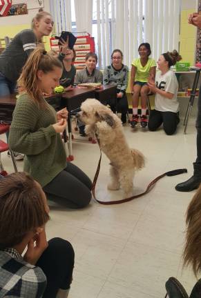 Club learns about dog fostering