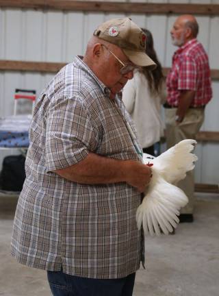 Judging the poultry at the Sussex County Poultry Fanciers Spring Show.