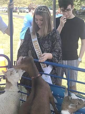 Miss Hardyston 2019, Cameron Mastenbrook pets goats at the petting zoo during Hardyston Day