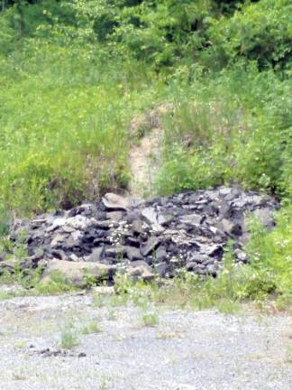 Vernon to clean up DPW site