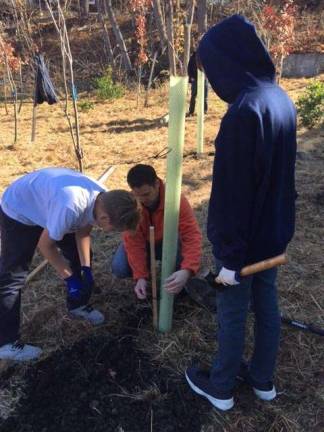 Joseph Majewski, Anthony Ciappara, and Mr. Nathaniel Sajdak protect the new trees with tubes and stakes.