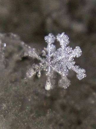 Photo by Gale Miko Snowflakes are shown in Wantage.