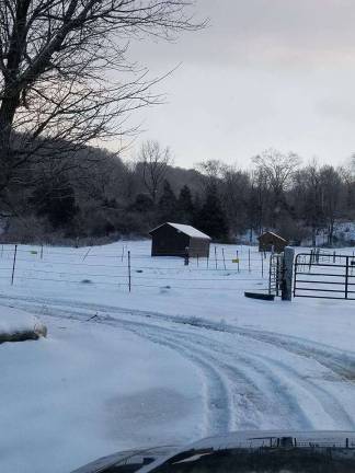 Diane Romano, a volunteer at Rivers Edge Horse Rescue &amp; Sanctuary, in Newton, photographed the beauty of the pasture. All of the horses for which the sanctuary cares were safe from the cold in the barns.