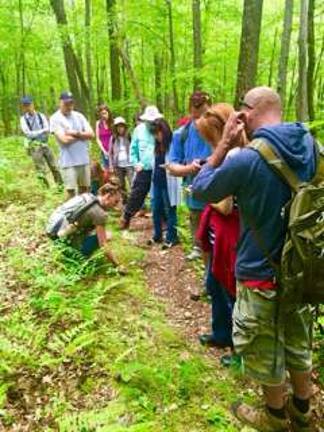 Nature Walk planned in Lafayette