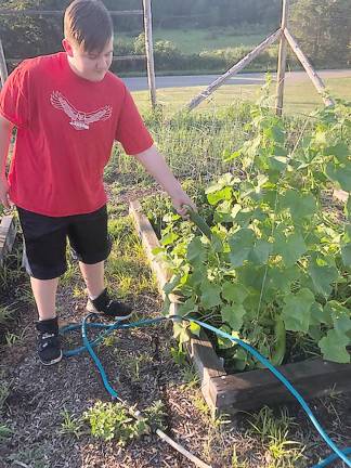 Eagle Scout and his team make vital improvements to community garden Ken Coffaro waters the garden (Photo provided)