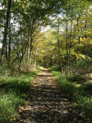 Leaf peeping season opens with some off-the-beaten-track options Paulins Kill Trail where leaves are just about to change colors.