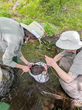 Tara Muenz shows Scouts of America how to retrieve their leaf pack in Hemlock Farms in 2019 (Photo provided)