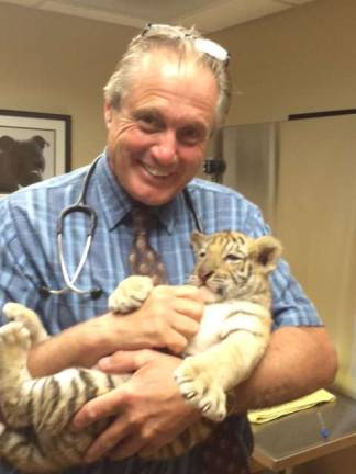 Dr. Ted Spinks, V.M.D.. holds patient Titus the Bengal tiger cub from Space Farms Zoo.