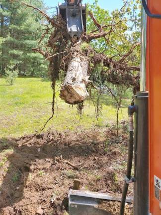 Using an excavator to remove a stump (Photo courtesy of Blue Ridge Tree Service)