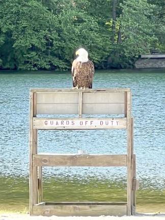 New ‘lifeguard’ on duty at Pleasant Valley Lake