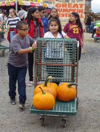 Pumpkins are what many people come to the farm for, but there is so much more to explore and do including a complete carnival.