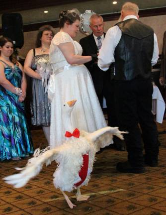 2015: The year in pictures PHOTO BY GALE MIKO From the minute Paul Kreczkowski of Wantage showed his fiancee Vivian a picture of Oliver the Goose she knew she wanted him in their wedding on Mother's Day at the Hampton Diner.