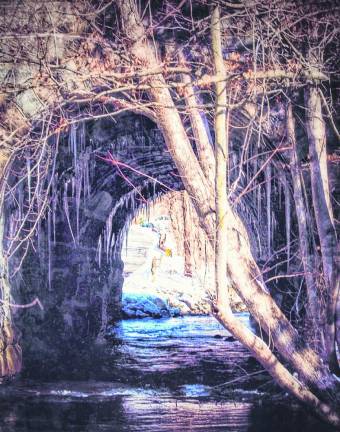 Michael Gibson’s photo of the “backwards tunnel” in Ogdensburg won the Best in Show Choice award.