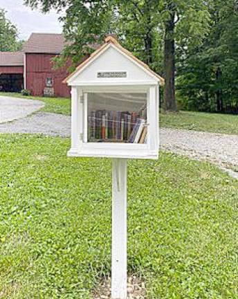 The Little Free Library outside the Van Bunschooten Museum (Photo submitted by the Chinkchewunska Chapter, DAR)