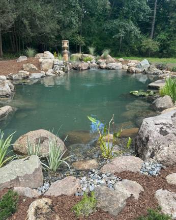 Are Swimmable Ponds Worth It? Garden State Koi Expert Weighs In Are Swimmable Ponds Worth It? Garden State Koi Expert Weighs In