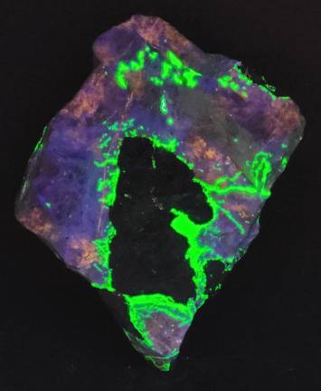 This New Jersey Zinc Co. horse head is from Richard Bostwick’s collection. The non-fluorescent mineral is Franklinite; Hardystonite is violet; Willemite is green; and Clinohedrite is orange.