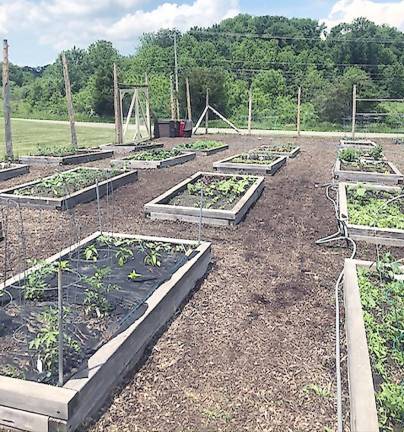 Eagle Scout and his team make vital improvements to community garden Hardyston Township’s community garden (Photo provided)