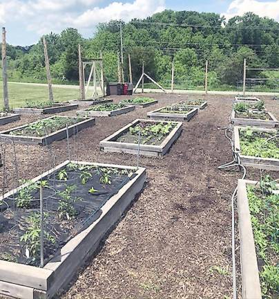 Hardyston Township’s community garden (Photo provided)