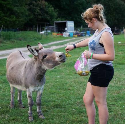 PHOTOS BY VERA OLINSKILexi feeds Lovey his favorite Cotton Candy Grapes.