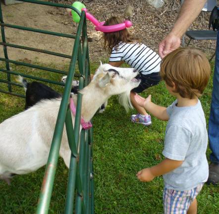 PHOTOS BY ERIC GREEN Julian and Rhyleigh of Wantage help feed the goats at the petting zoo.