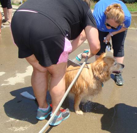 This cooperative pooch was all doggy smiles while getting a spruce-up.