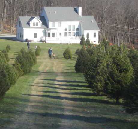 PHOTOS BY JANET REDYKE The view from the top of End-O-Lane Christmas Tree Farm shows lush trees and the beauty of the area.