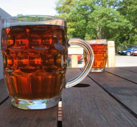 Rotary Harvest Brew Fest Stock image