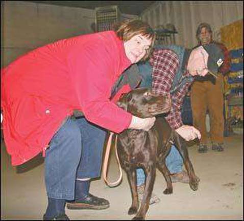 Keeping Pets safe Keeping Pets safe