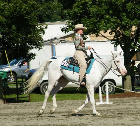 Summertime means County Fair Madeline Schafer rides in on a white horse. Photo by Chris Wyman