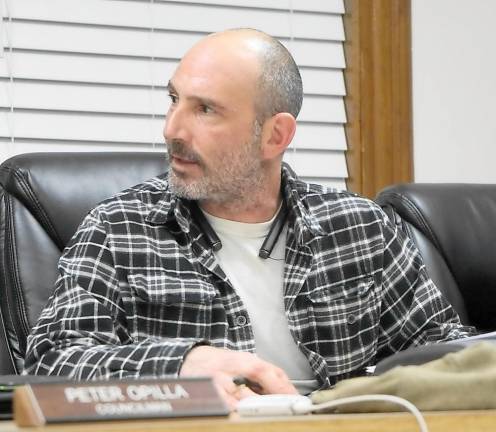 Councilman Anthony Nasisi discusses Ogdensburg Borough Hall roof bids.