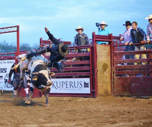 Bull Riding at the Professional Rodeo.