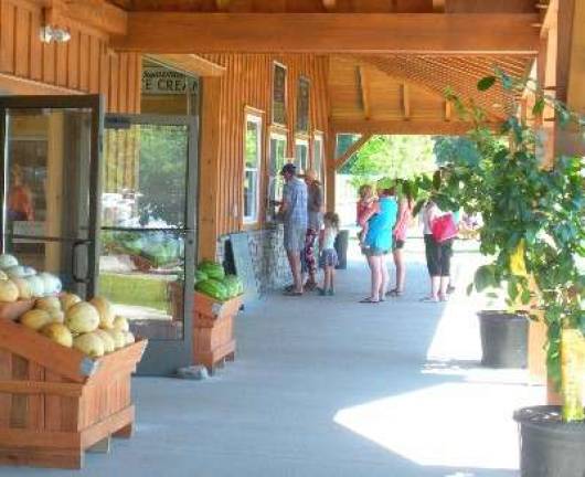 People lined up early for ice cream on a hot summer day as Tranquillity Farms in Green Township celebrated the Grand Opening of their new Farm Market and Garden Center on Saturday, June 30, 2018.
