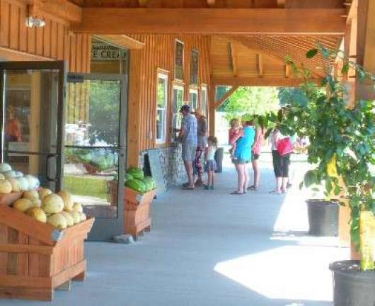 Tranquillity Farms opens new store People lined up early for ice cream on a hot summer day as Tranquillity Farms in Green Township celebrated the Grand Opening of their new Farm Market and Garden Center on Saturday, June 30, 2018.